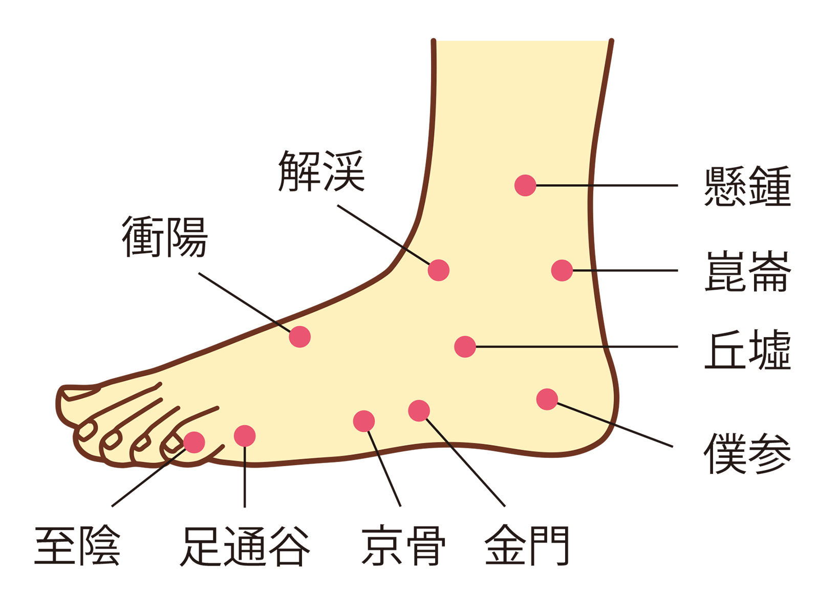 ツボ講座、足のツボ